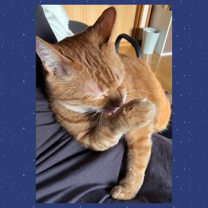 Adbd13c2 d8c3 4f53 9e26 83fc569f9d91 1649626399994