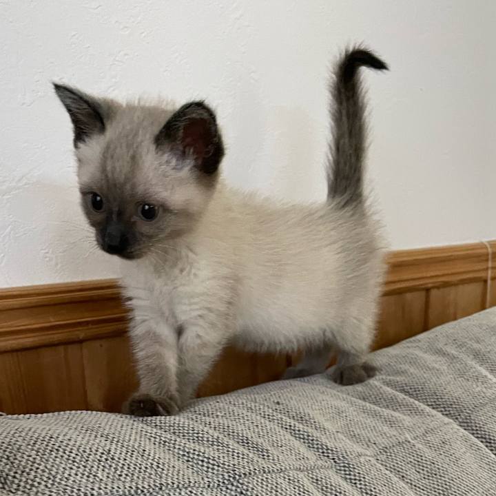 Adbd3df6 4f3d 4e39 a70d 94de9196044a 1686255330635