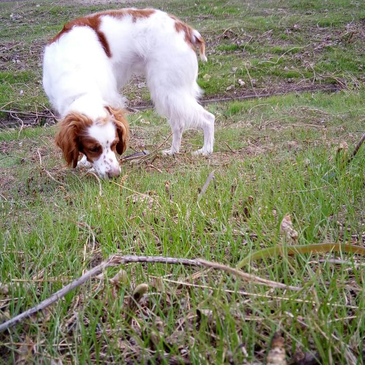 Adbd70b8 3372 4856 b69b fe50921f905b 1514017505809