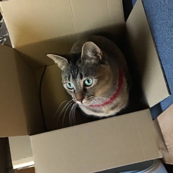 Adbd7a4a 057b 470a 8b9e 18b859c94335 1611736239822