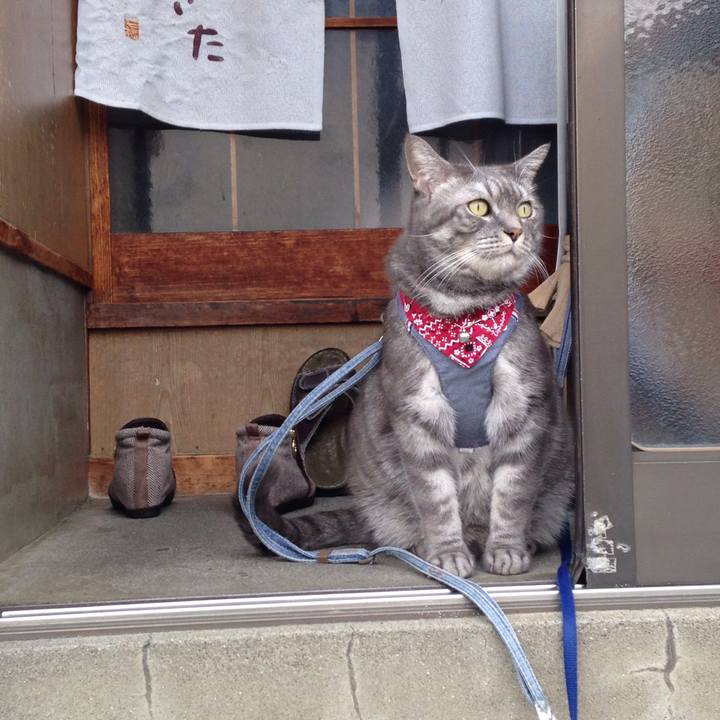 Adbe1ad3 64bc 46fb 8b51 98f6be5a8a13 1509439626333