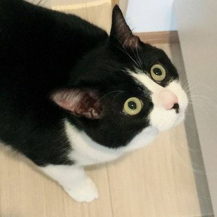 Adbe8d6b 082b 4cad 9651 5022d384f708 1526308540454