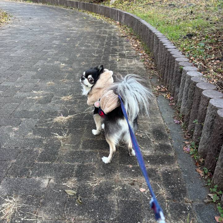 Adbe9027 6868 4b47 a70b 252766ff91d9 1765043784628