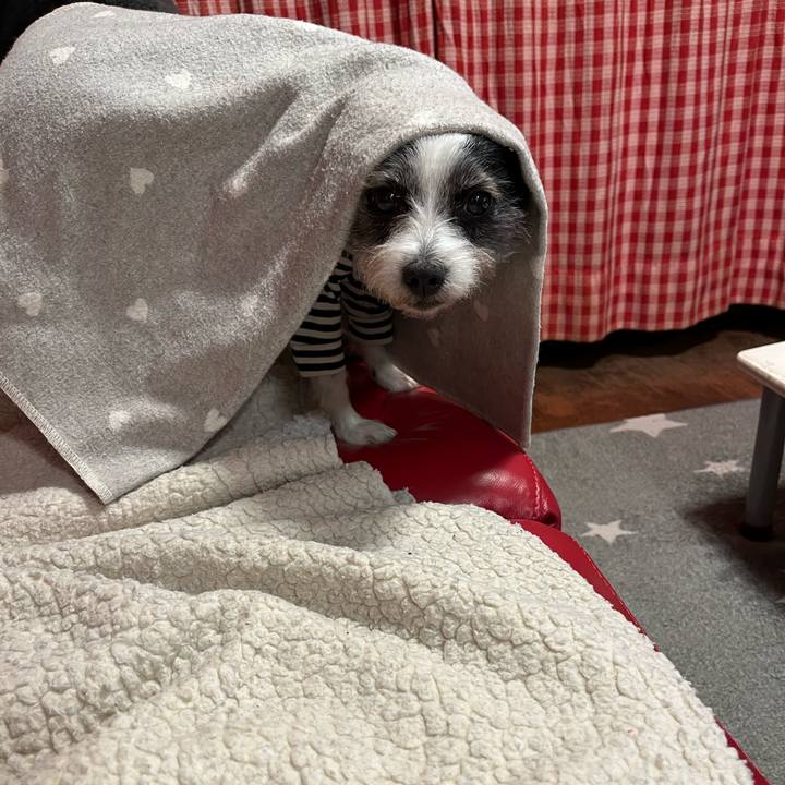 Adbea798 ab04 4893 b9f5 a062fcb89596 1707044588936