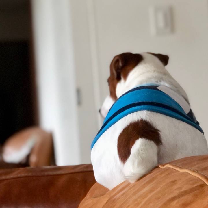 Adbeadeb 98f6 4ab5 b65f 47576aeb6266 1688529532858