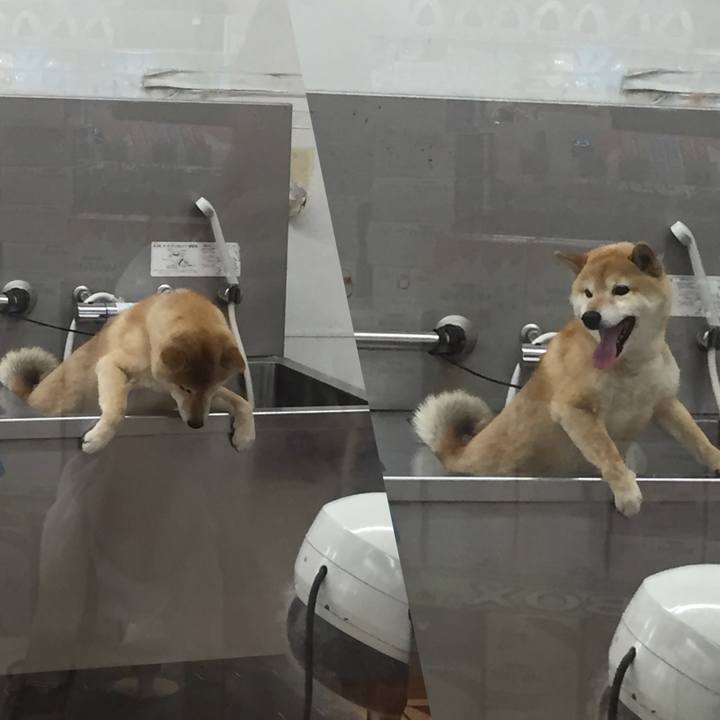 Adbeafaa 6370 4f95 b0a2 f24ef68196b9 1523588667450