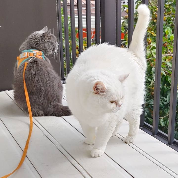 Adbeb81b 2f10 4116 961d 319b96c7ef6c 1729391965533