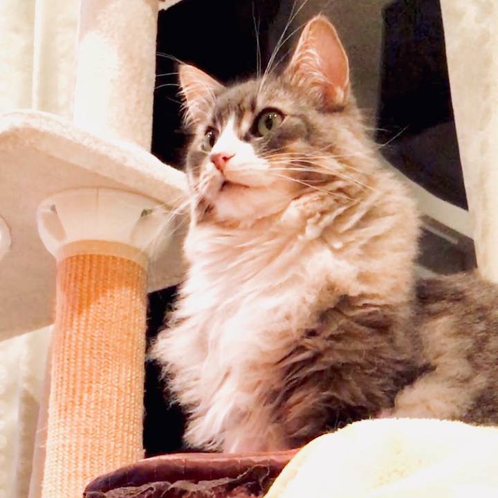 Adbece21 137e 439a a4b0 7fde745de236 1524506993329