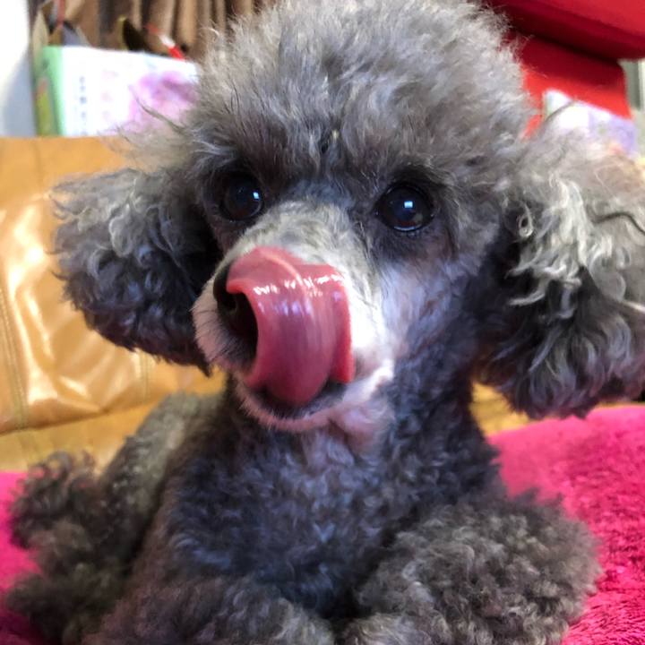 Adbf24b6 c906 47cf 84c5 5bc1966dbed0 1625402827749