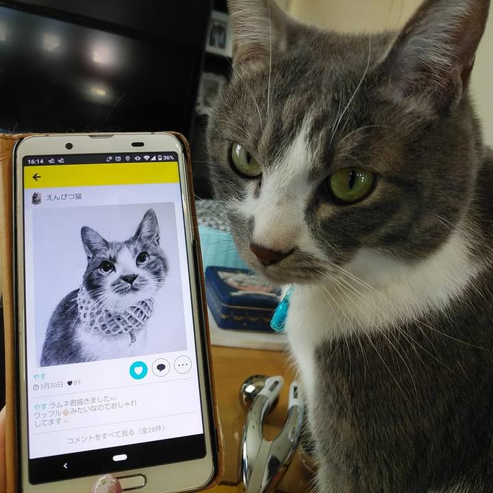 Adbf38a8 594f 4d5d 91d1 177c2fcffdcf 1648805022826