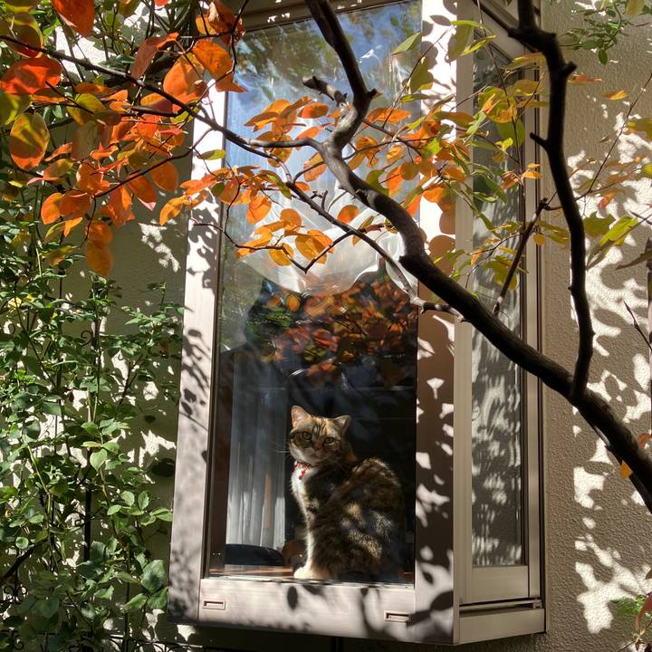 Adbf48f0 147f 4c9a a6ae 49e8cbb2f225 1763690162007