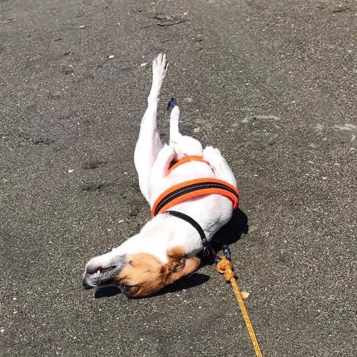 Adbf5cf1 ab4e 4769 8e50 547a7b156d51 1663499096819