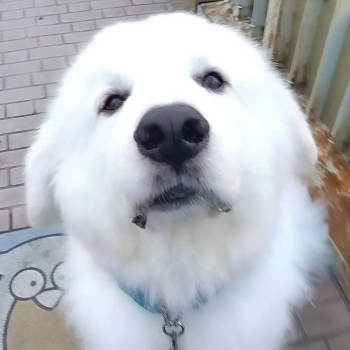 Adbf696c f041 4ebb b16a f536f30ca199 1696071382394