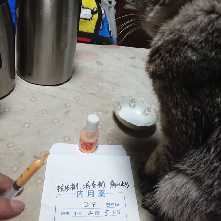 Adbf8bf5 f183 4589 b4c1 927320dadffb 1580597519425