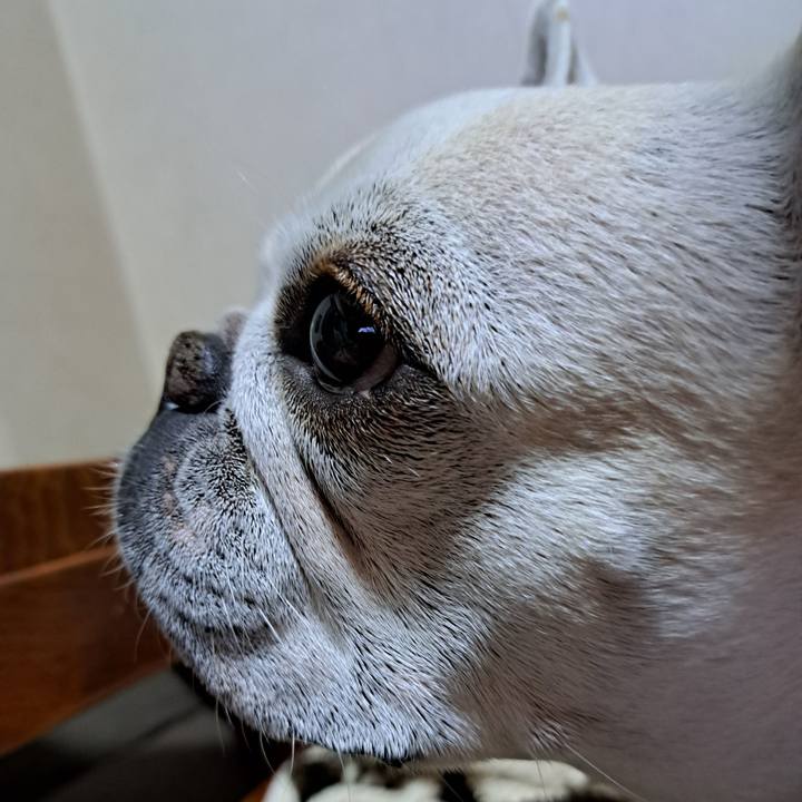 Adbfadde 6126 4062 ac80 3b030e3c1ae6 1742894685271