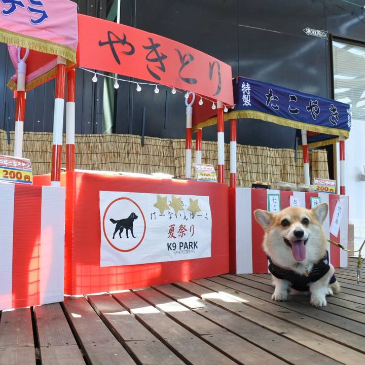 Adbfae0f 5d53 45ae ab11 0a696a8b9d09 1690715238808