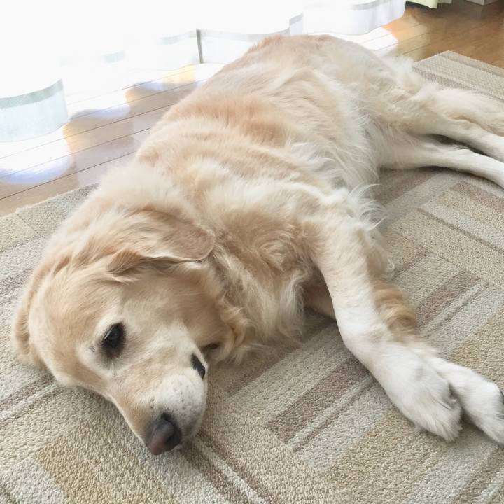 Adc03d1a d635 4665 ab8a af6e76964716 1541377445247