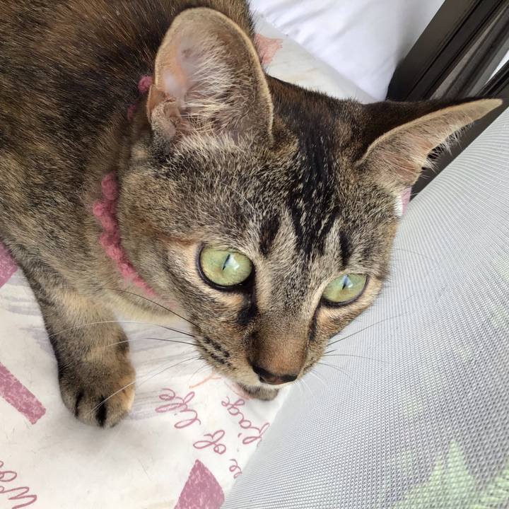 Adc05786 5b25 438d be3a 62c1e15d2958 1592638718424