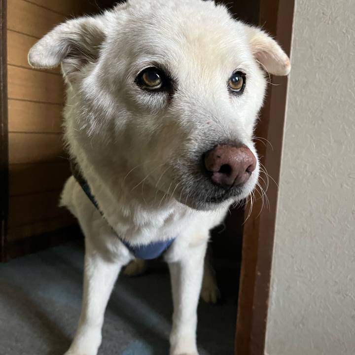 Adc05c74 8ede 4950 a38c daf6bec20999 1765928325751