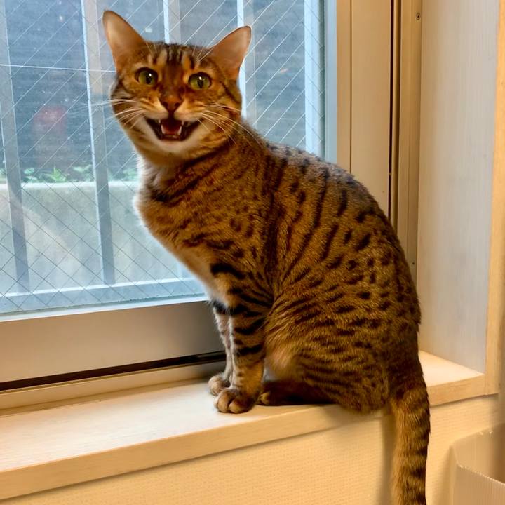 Adc0b407 9bd6 4898 910e 20c732f3b5e9 1556663869047