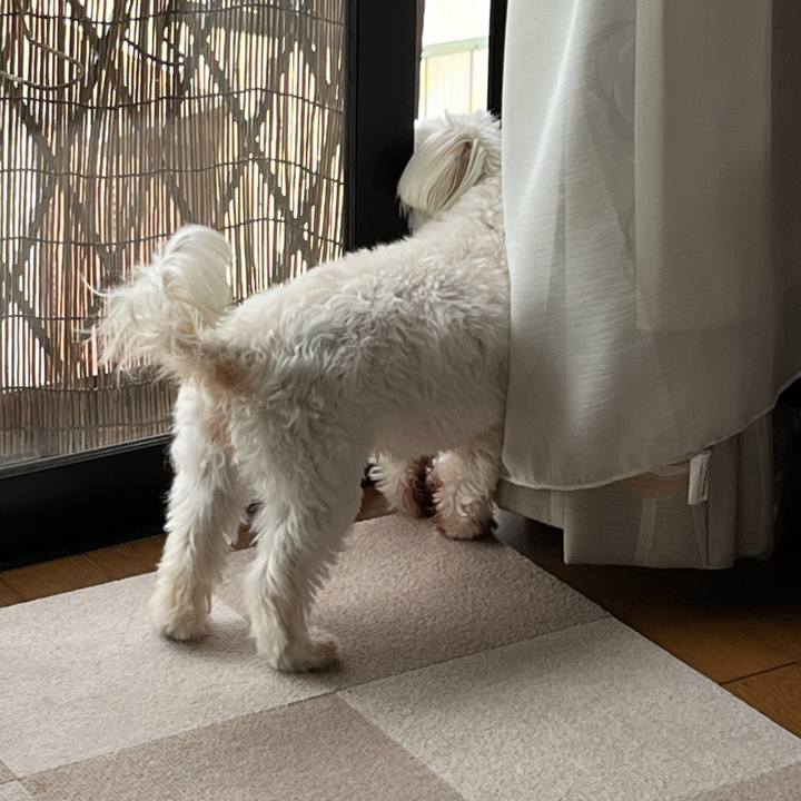 Adc12324 13d1 462c bb83 970831aadc28 1716939045136