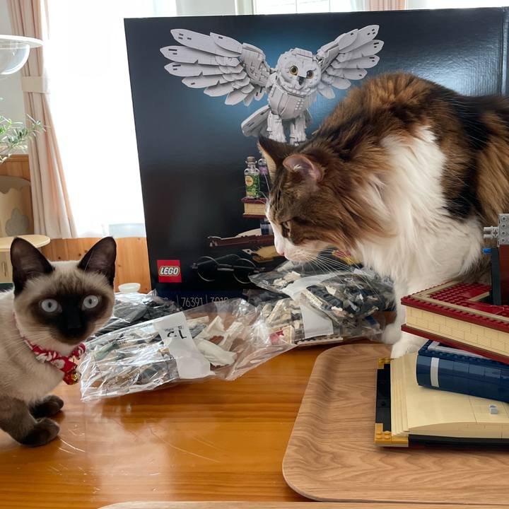 Adc17ebe 7659 4d75 a9e9 923c1de817bb 1702183113035