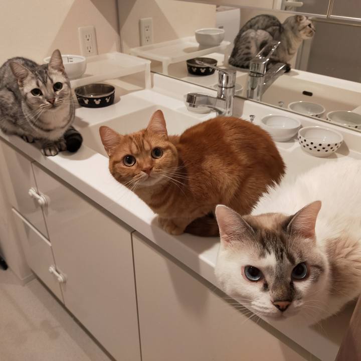 Adc18092 bf37 470a 83a5 647b8d9ba6ce 1604235927283