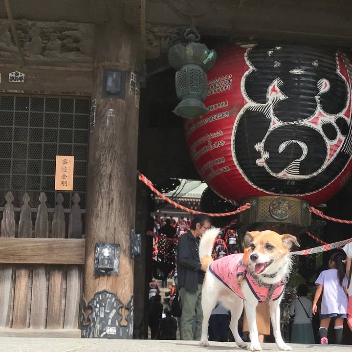 Adc185f9 2c13 4f3e b2ba 164894979e4c 1538807701207