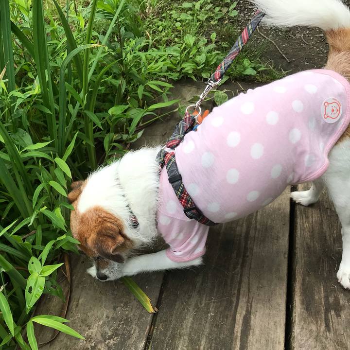 Adc1b015 28f2 4adb 80cb f84606e4e3e1 1562988613639