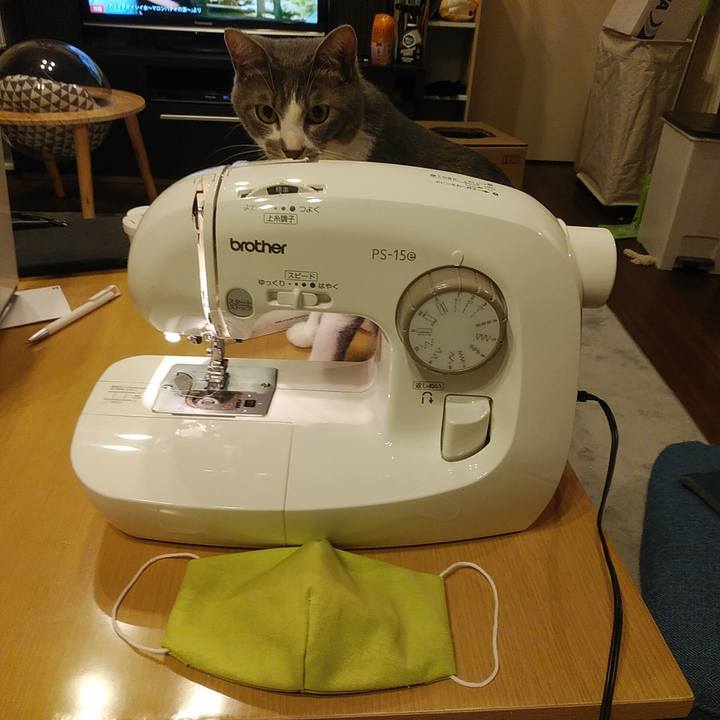 Adc1cfe4 36ba 4ae5 b30d fdfa3af77770 1591095099787