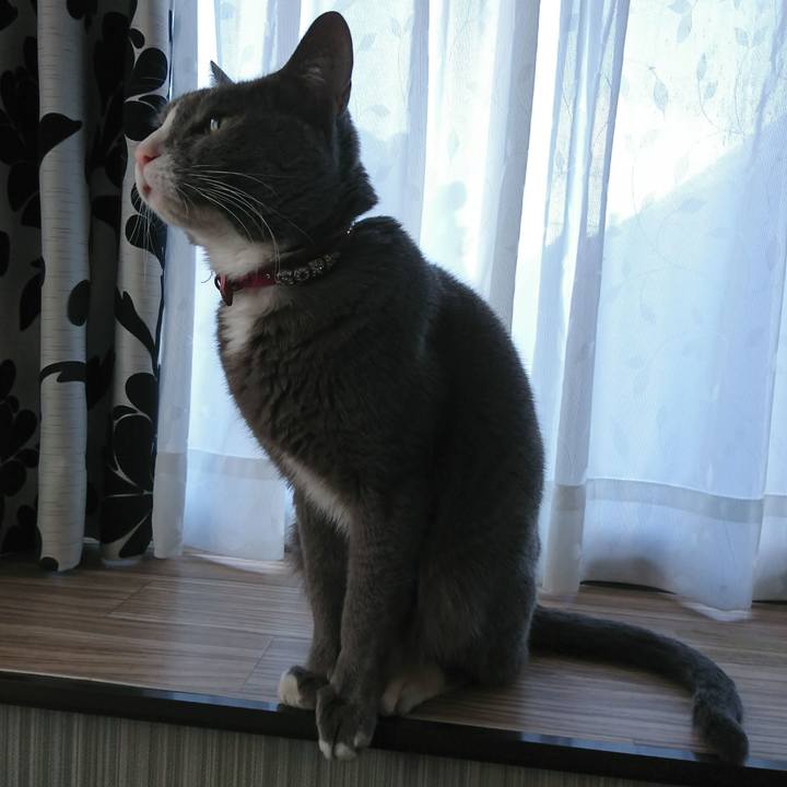 Adc1d116 c775 42d9 ab26 1a2d44b19b42 1516757396431