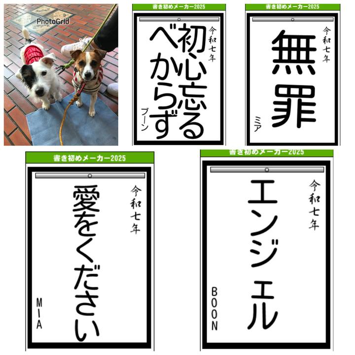 Adc1d1df b69a 4275 a2b3 9e2684a0451a 1735820096695