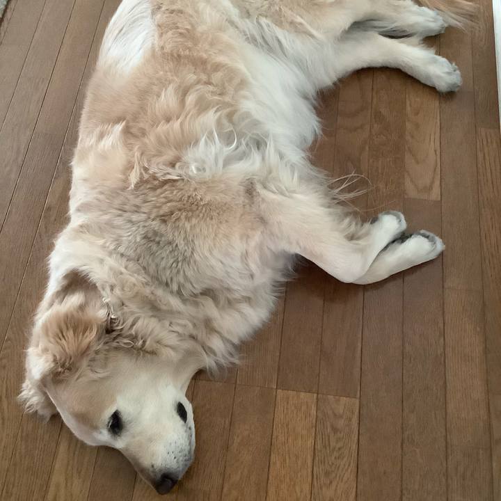 Adc1f71e 4710 4d06 87f3 fe84228a268b 1589430567514