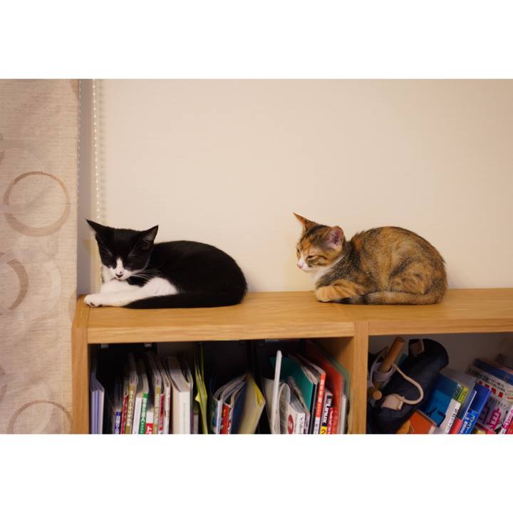 Adc231c4 13a1 45c5 9bd4 be3ac5a82825 1569887938675