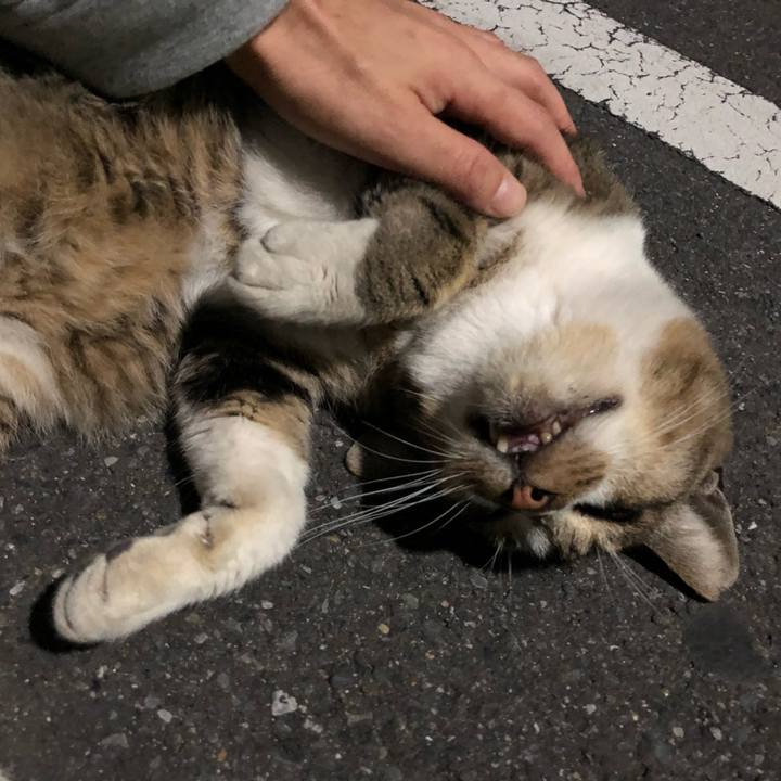 Adc26e87 4693 483a 8b9e 90dcac1a1c5c 1541327178440