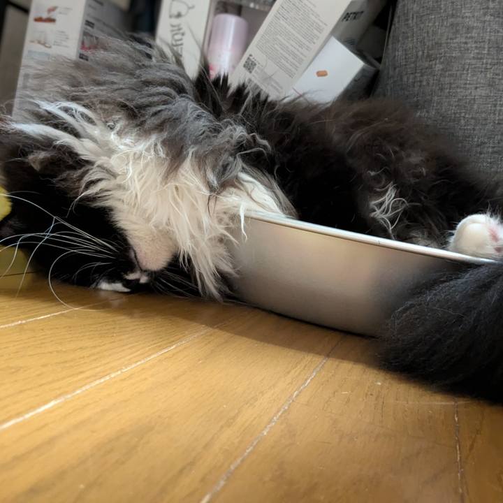 Adc2b414 7462 40f2 883e b13349a2c5d2 1729306464688