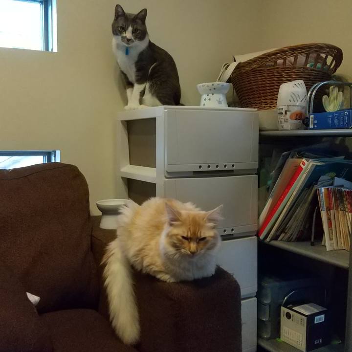 Adc2e8e8 0a5a 4141 895b ac8efea86303 1616836572479