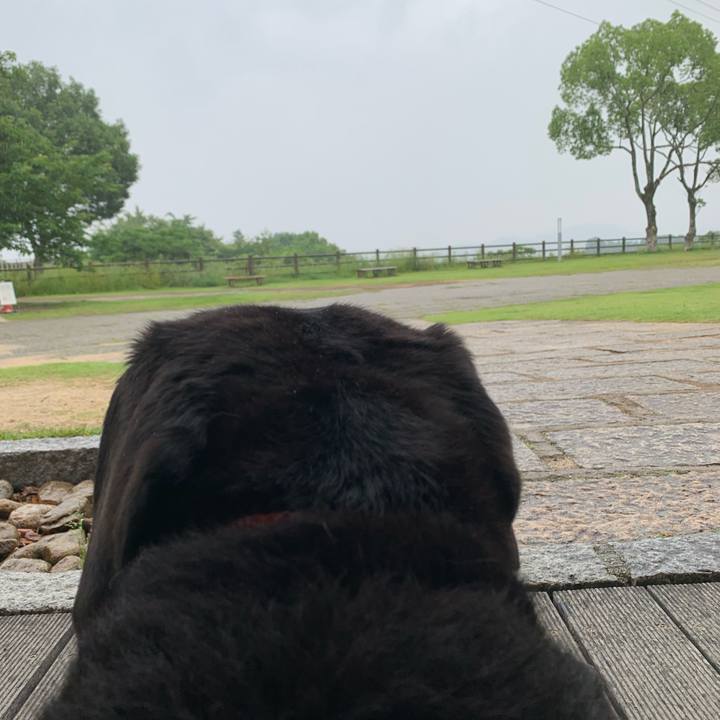 Adc31136 2bc3 404b a0dd 39aab076ae67 1623479246501