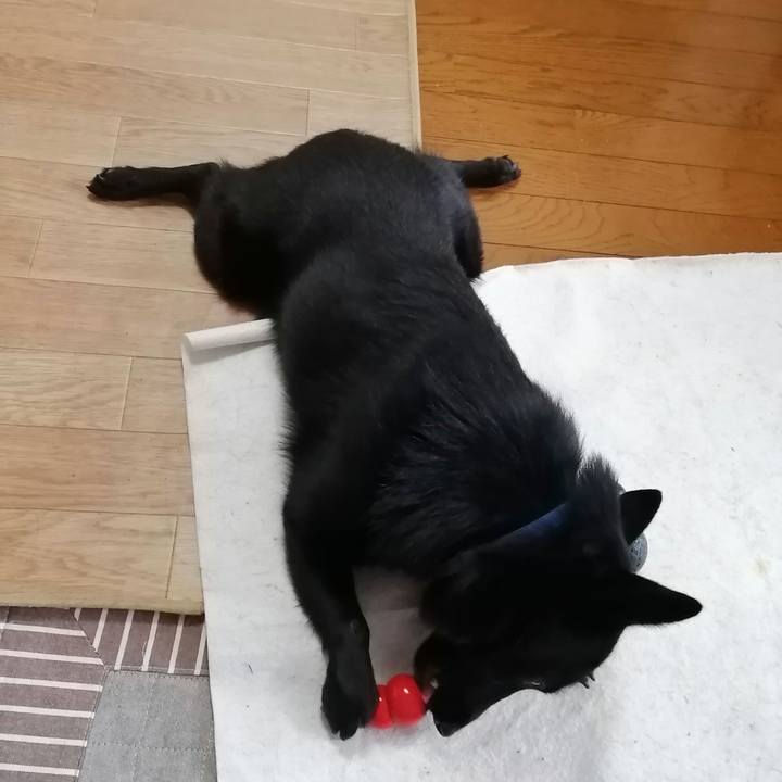 Adc34d31 05eb 4b93 ba38 8b56a7565aff 1607745161013