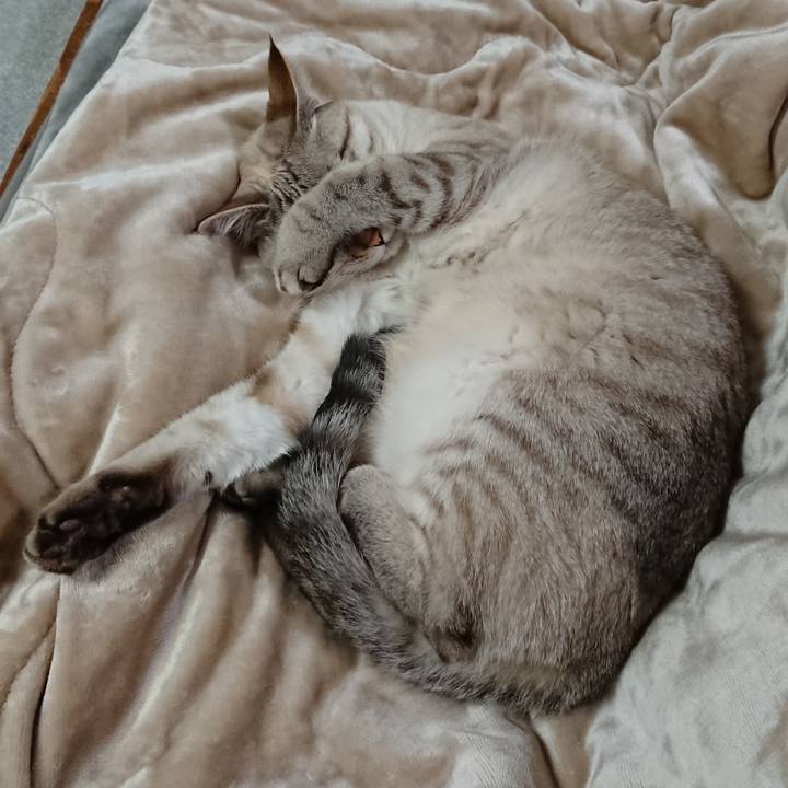 Adc3ad28 f257 4140 8cae cd8fad672e41 1513254762872