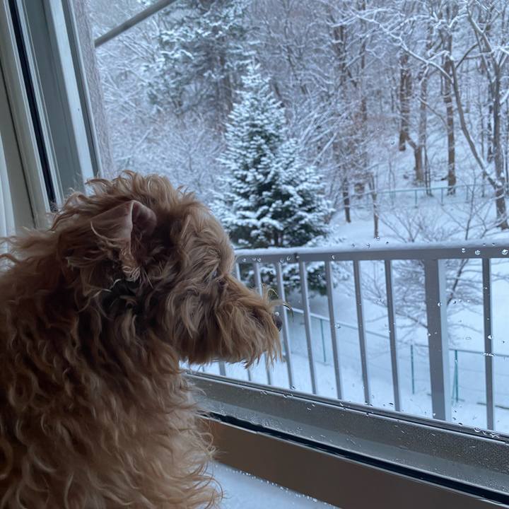 Adc3d001 a562 4650 9190 b2ade7d36368 1669845509569