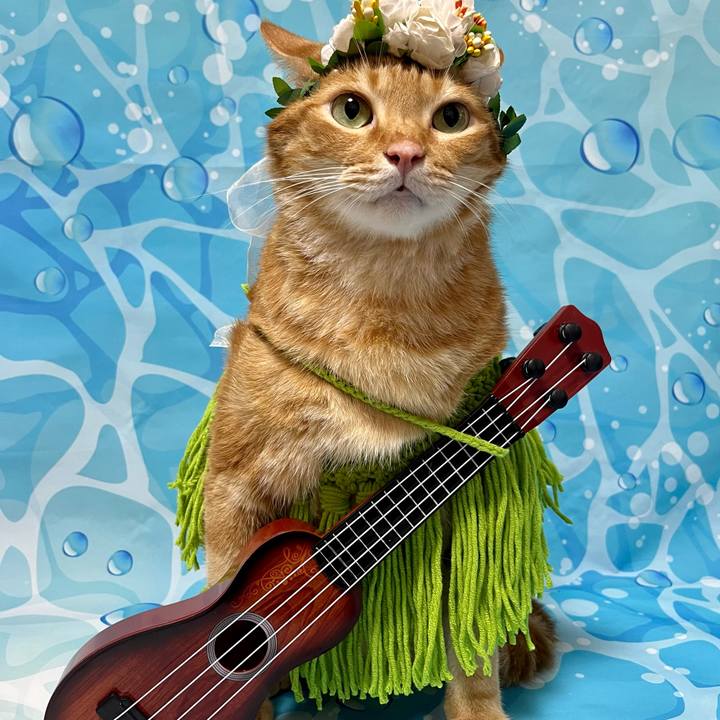 Adc3f1a3 e238 46a7 8c3a 1256f815fc34 1692188443789