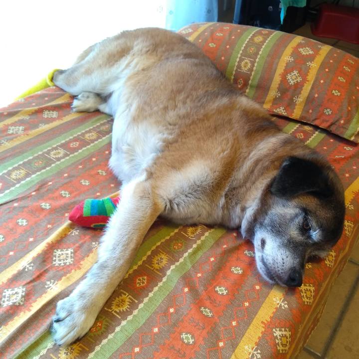 Adc43453 3484 4200 af77 6c804ed3cb59 1563768990828