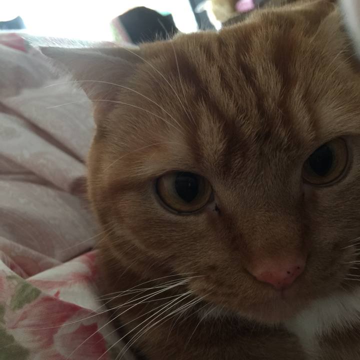 Adc457e2 e7cb 4643 819e 2e89511d59cc 1551485477289