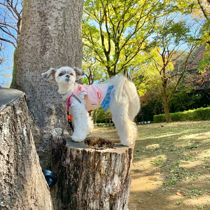 Adc459c9 0c8a 47b3 becf 63d948c8a86d 1605393695404