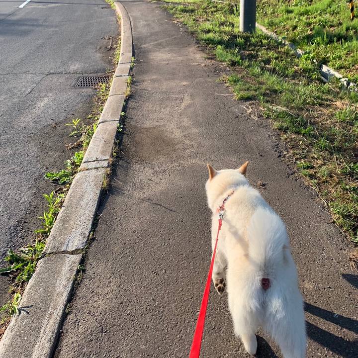 Adc4a3d6 1be2 4a1b 9a5d 1840aa7ff792 1560469981884