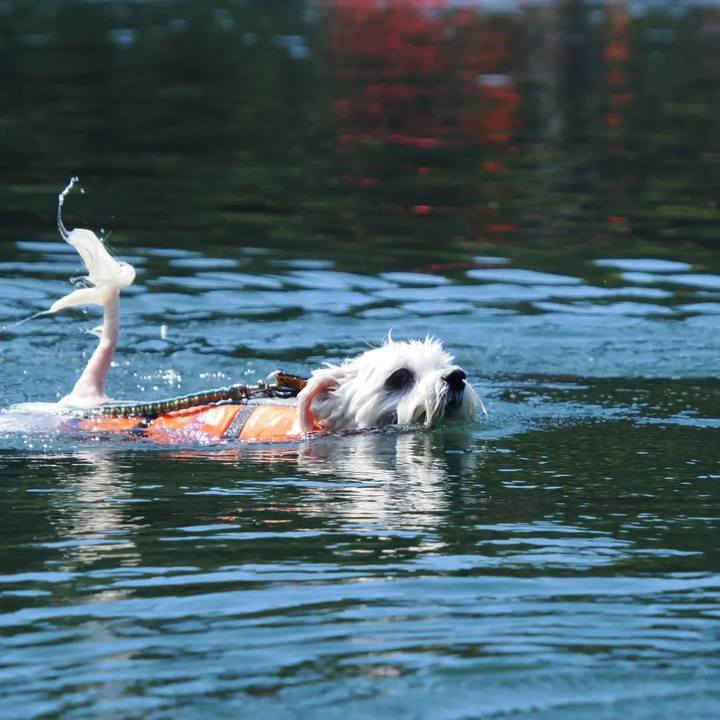 Adc4a8f4 ebca 4633 9ac2 18e547ebf06d 1662375753261