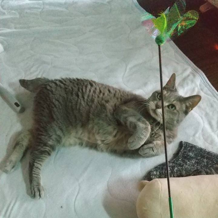 Adc53408 0f43 4a08 acca 1da565437564 1674365606656