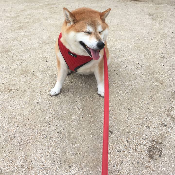 Adc5375e 4edd 4a13 9eb3 2f7ba07febb5 1599871538510