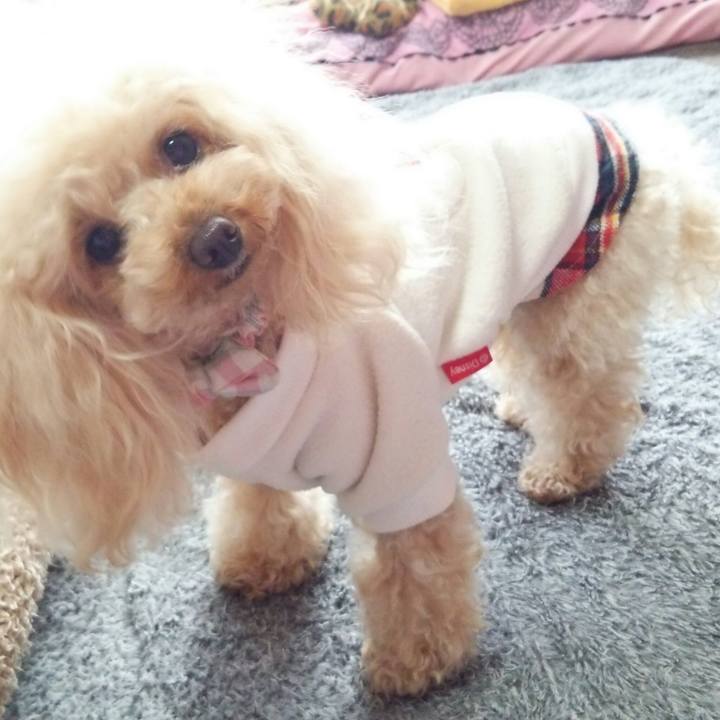 Adc5464d 3a48 4543 8e2b 48889cba9d2c 1515921751739